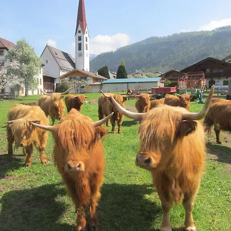 Fuerstenhof Apartment