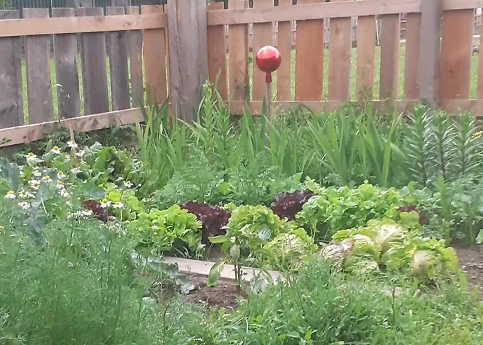 Apartment Fuerstenhof